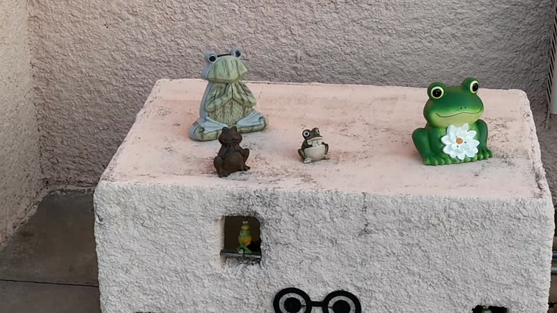 Les figurines de grenouilles qui gardent le patio