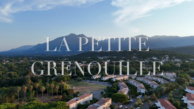 « La Petite Grenouille » — les palmiers vus du ciel